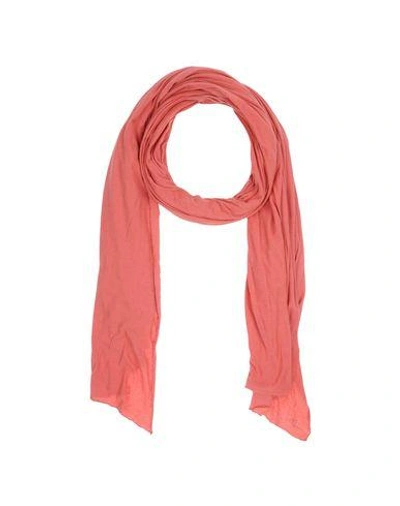 Shop Majestic Scarves In Coral