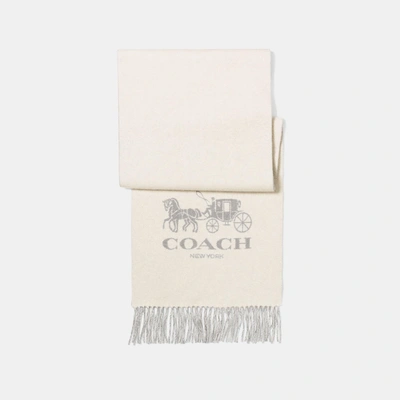 Shop Coach Horse And Carriage Cashmere Muffler In Grey