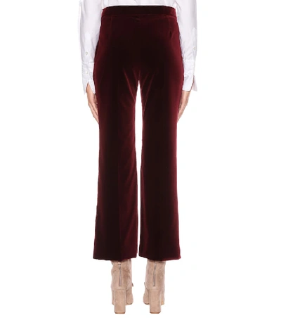 Shop Stella Mccartney Velvet Cropped Trousers In Purple