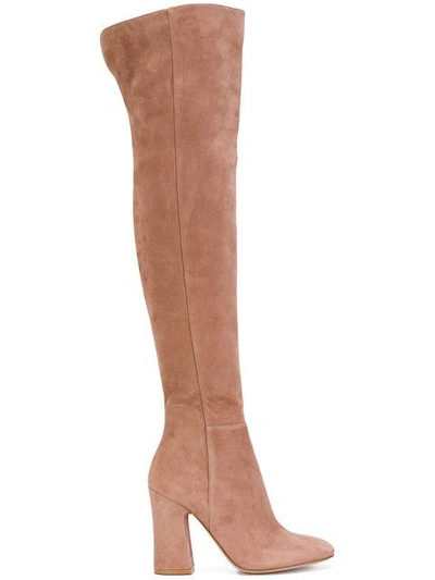 Shop Gianvito Rossi Knee Length Boots In Pink