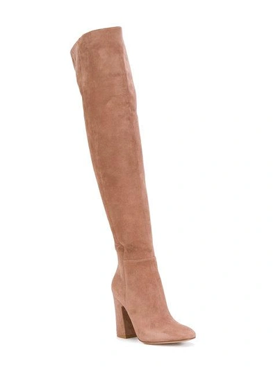 Shop Gianvito Rossi Knee Length Boots In Pink