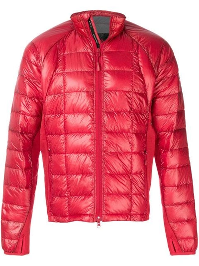 Shop Canada Goose Hybridge Lite Quilted Jacket In Red