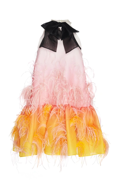 Shop Vivetta Alshain Feather Dress In Multi