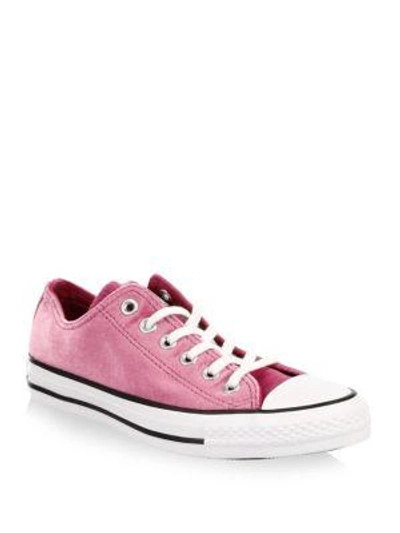 Shop Converse Velvet Low-top Trainers In Pink