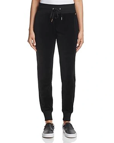 Shop Calvin Klein Velour Jogger Pants In Black