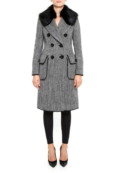 Shop Dolce & Gabbana Coat With Fur Collar In Tess.accoppiato Doublegrigio