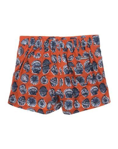 Shop Dolce & Gabbana Swim Shorts In Red