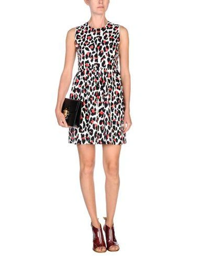 Shop Msgm Short Dress In Red