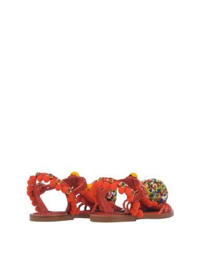 Shop Dolce & Gabbana Woman Sandals Red Size 7 Textile Fibers