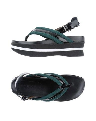 Shop Marni Toe Strap Sandals In Green