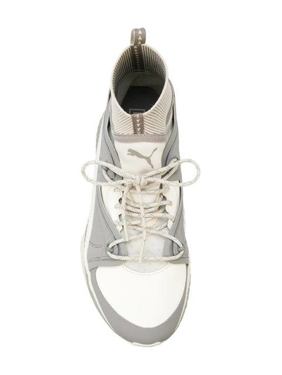Puma Grey