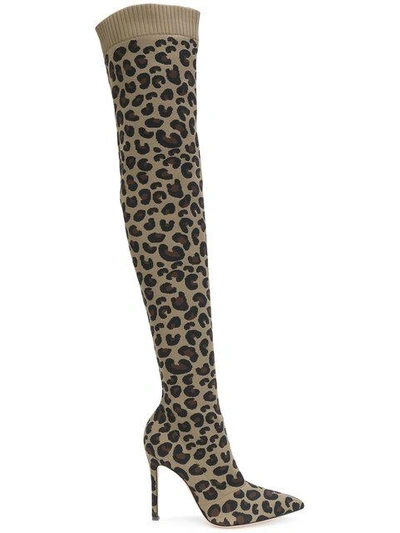 Shop Gianvito Rossi Sauvage Leopard Stretch Boots