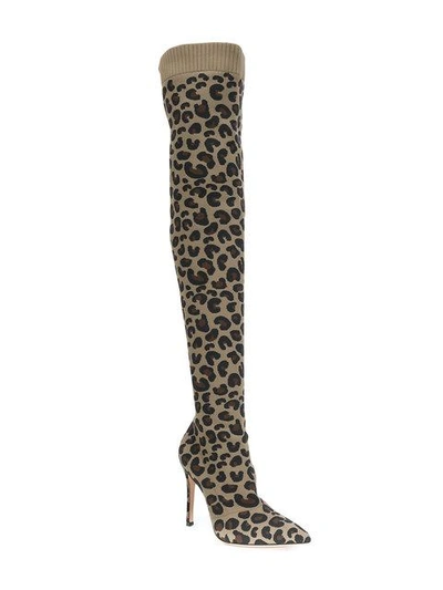 Shop Gianvito Rossi Sauvage Leopard Stretch Boots