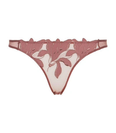 Shop Fleur Du Mal Lily Embroidered Cheeky Thong In Brown