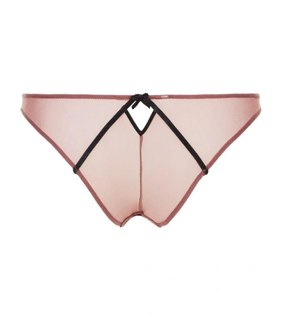 Shop Fleur Du Mal Lily Embroidered Cheeky Thong In Brown
