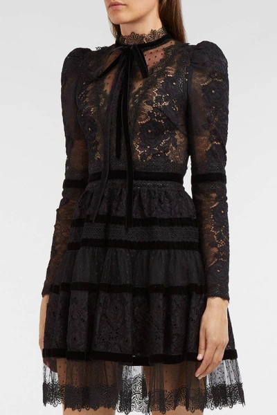 Elie Saab Velvet-trimmed Lace Mini Dress In Black