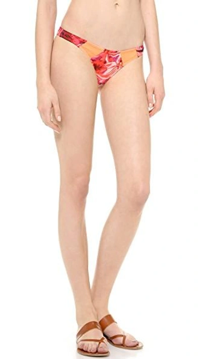 Shop Tyler Rose Swimwear Tanner Bikini Bottoms In Neon Orange