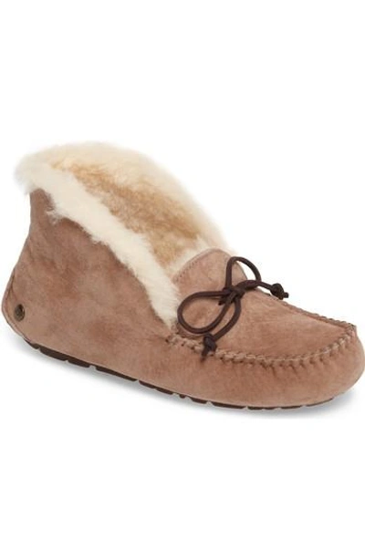 Shop Ugg Pure In Fawn Suede