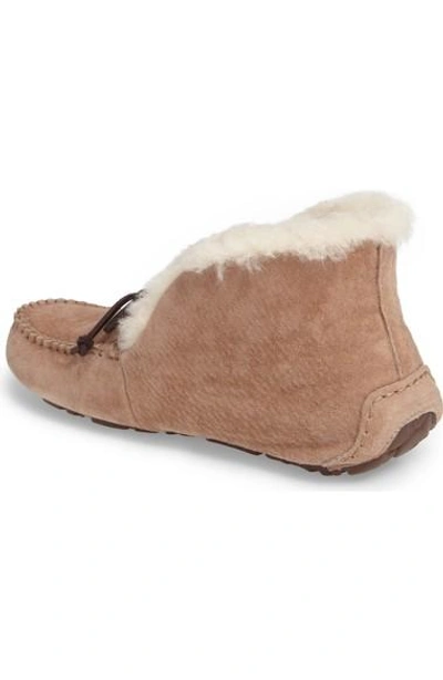 Shop Ugg Pure In Fawn Suede