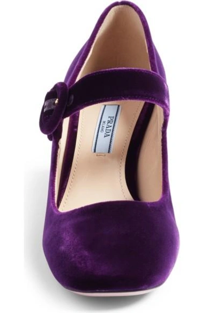 Shop Prada Block Heel Mary Jane Pump In Purple