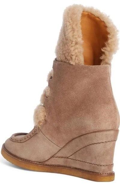 Shop Chloé Peggy Genuine Shearling Wedge Bootie In Latte Brown Suede