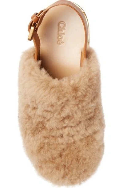 Shop Chloé Camille Genuine Shearling Slingback Platform Wedge In Pink Sand