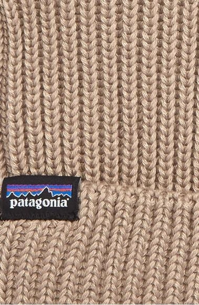 Shop Patagonia Fisherman Beanie In Brown