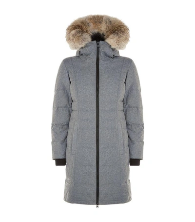 Pembina 2025 canada goose