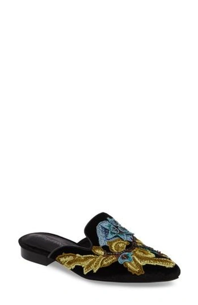 Shop Jeffrey Campbell Claes Applique Loafer Mule In Black Velvet Combo 2