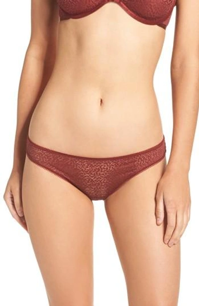 Shop Dkny Modern Lace Thong In Rust