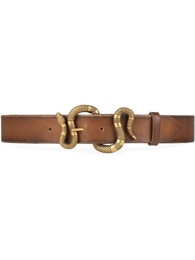 Shop Gucci Snake Buckle Belt In Brown
