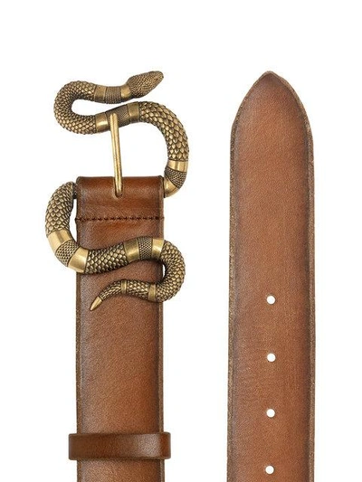 Shop Gucci Snake Buckle Belt In Brown