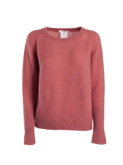 Shop Max Mara Zeno Sweater In Pink