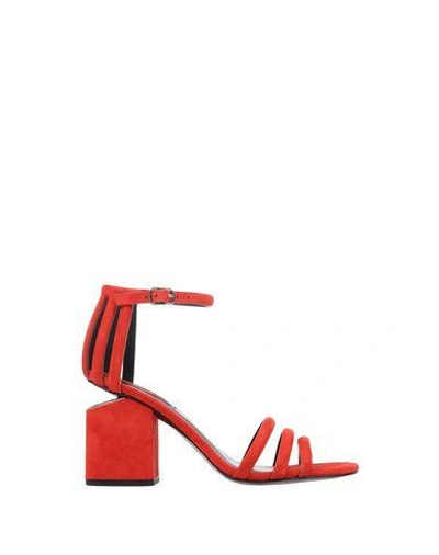 Shop Alexander Wang Sandals In Red