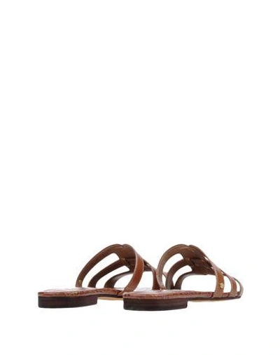 Shop Sam Edelman Sandals In Brown