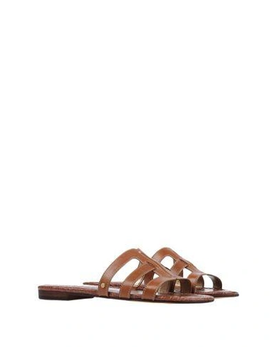 Shop Sam Edelman Sandals In Brown