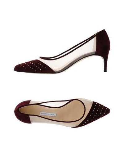 Shop Bionda Castana In Maroon