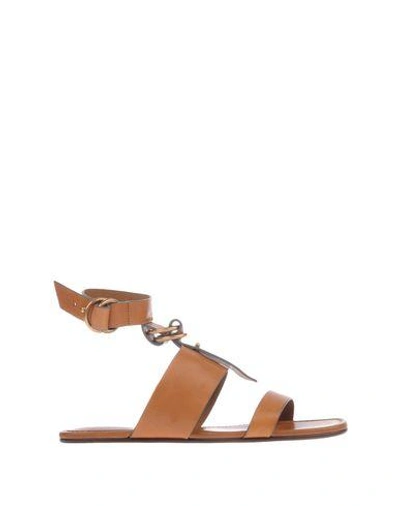 Shop Chloé Sandalen In Tan