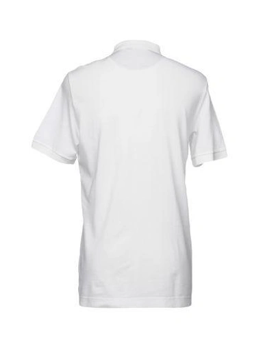 Shop Dolce & Gabbana Man Polo Shirt White Size 46 Cotton