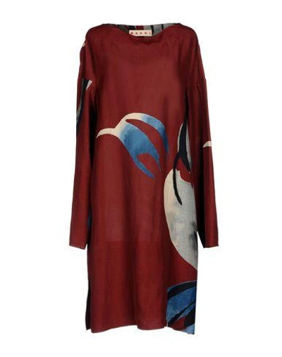 Shop Marni Knee-length Dress In Maroon