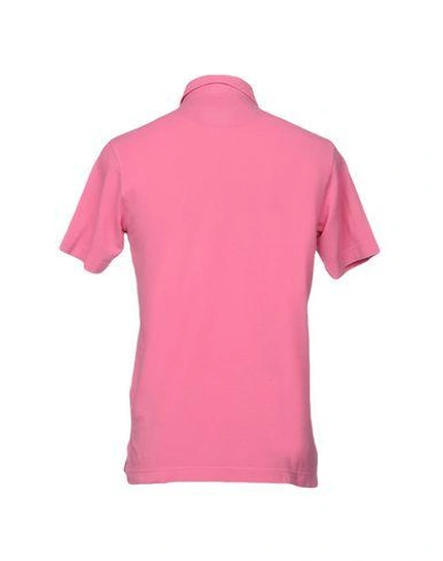 Shop Drumohr Man Polo Shirt Pastel Pink Size Xl Cotton