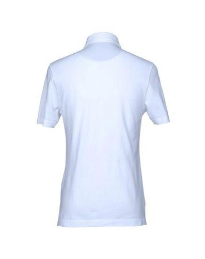 Shop Drumohr Man Polo Shirt White Size Xxl Cotton