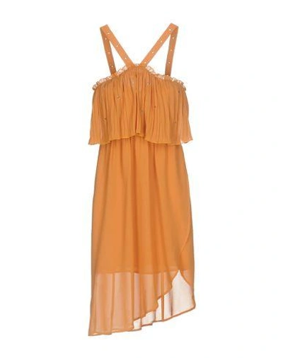 Shop Intropia In Apricot