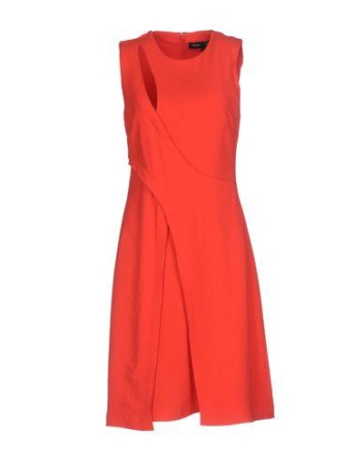 Shop Proenza Schouler Knee-length Dress In Coral