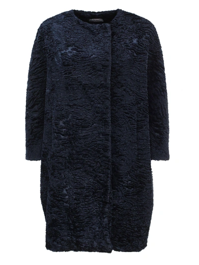Shop Alberto Biani Fur Coat In Blue