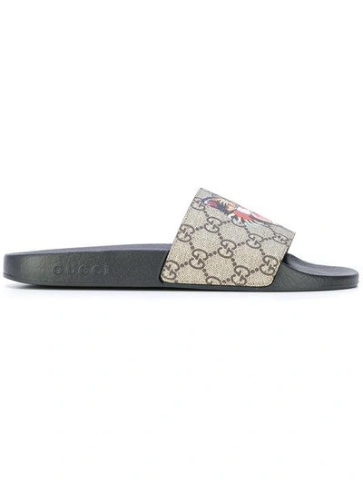 Gucci angry cat best sale slides