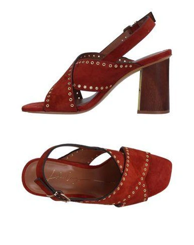 Shop Lola Cruz Woman Sandals Brown Size 8 Leather