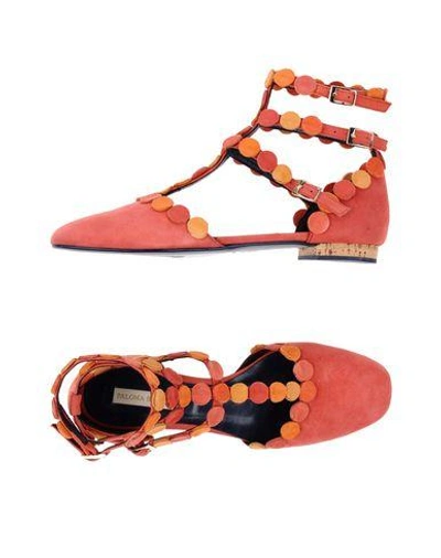 Shop Paloma Barceló Ballet Flats In Coral