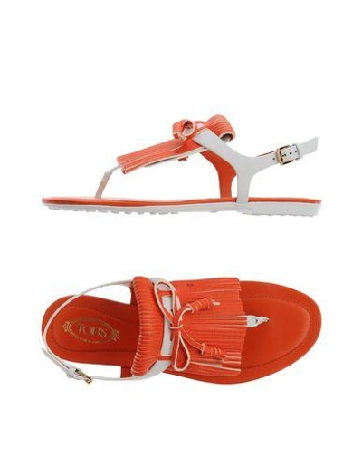 Shop Tod's Toe Strap Sandals In Red