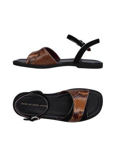 Shop Marc By Marc Jacobs Sandals In Brown